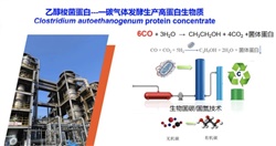 重大突破！中國農科院首次實現從一氧化碳到蛋白質的合成，并形成萬噸級工業產能